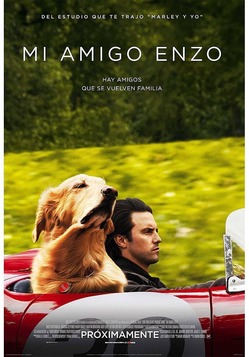 Mi_amigo_enzo__poster-mediano