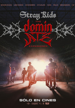 Straykidsthe-dominateexperience-mediano