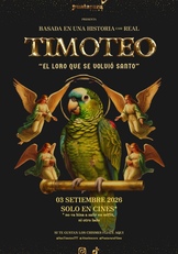 Timoteo_poster_imagen_fija_-chico_mediano