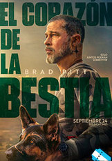73678-chico_mediano