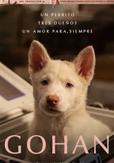Gha-chico_mediano